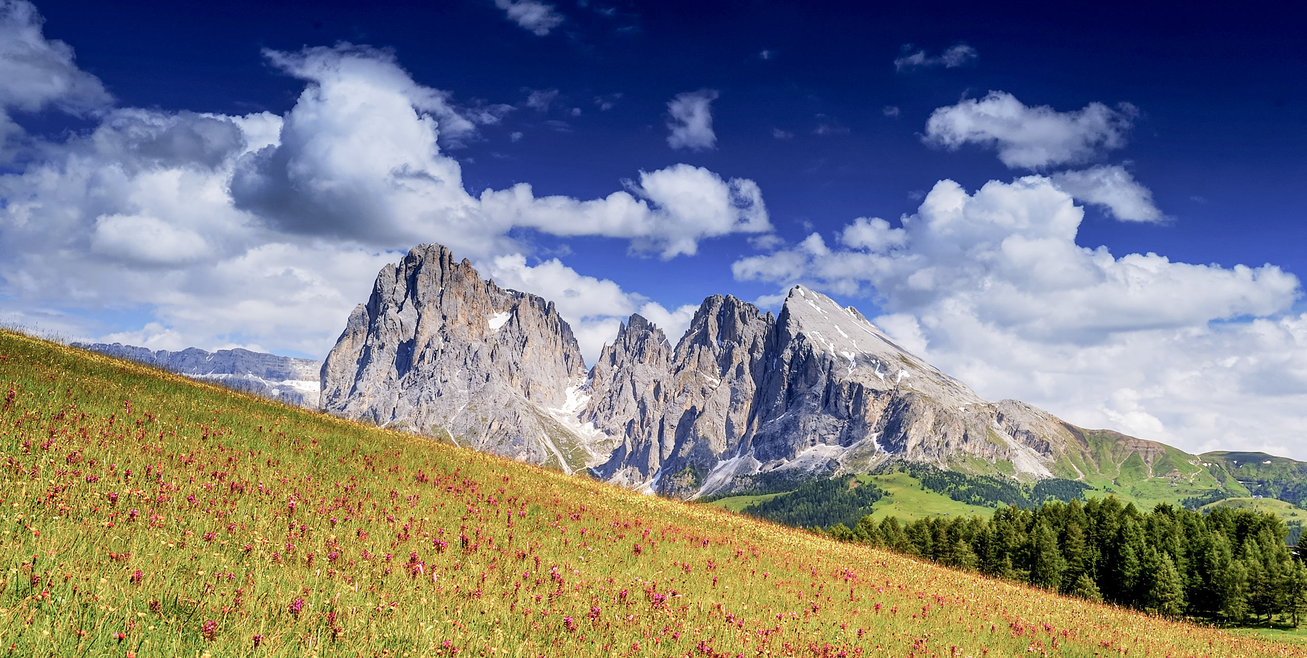 The summer in Selva in Val Gardena